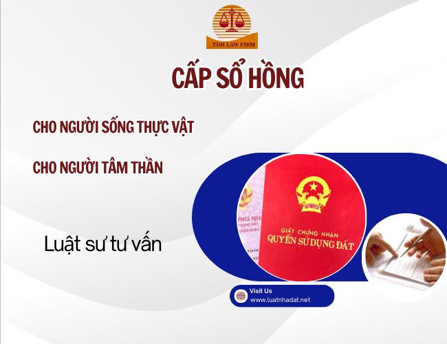 Tư vấn cấp sổ hồng cho người bị tâm thần, người sống thực vật