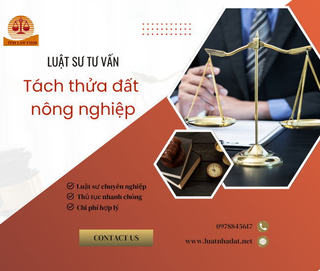 Dịch vụ tách thửa đất nông nghiệp
