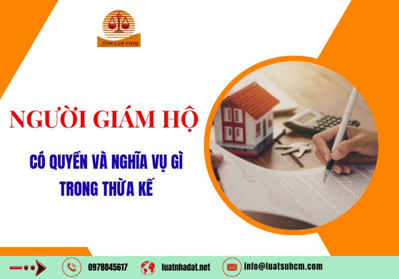 Người giám hộ có quyền và nghĩa vụ gì trong thừa kế? 