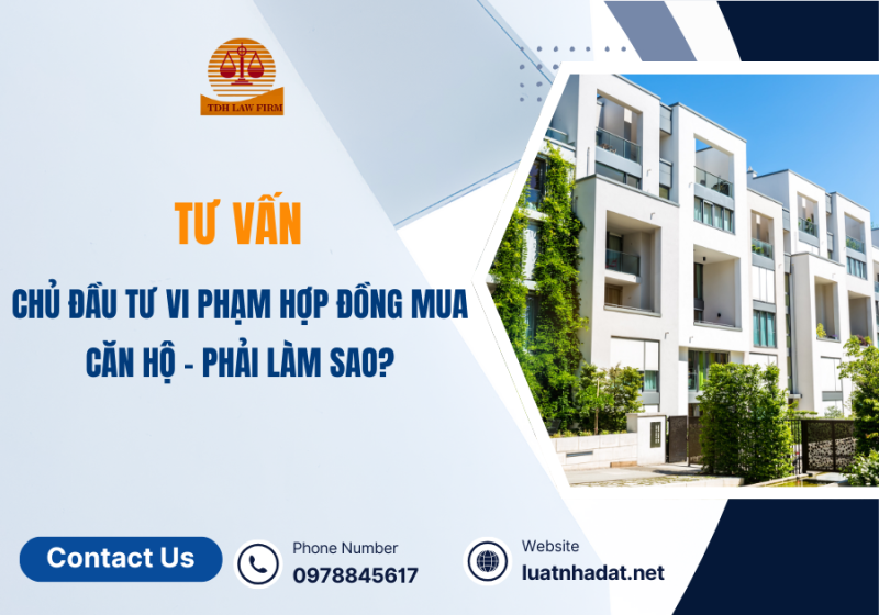 Tư vấn tranh chấp phát sinh từ chủ đầu tư vi phạm hợp mua căn hộ